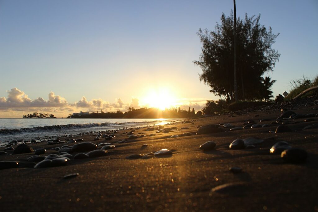 The Hilo Bayfront shoreline on Hawaii Island, looking along the water toward the town